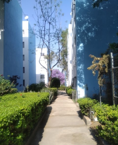 Departamento en remate bancario en San Francisco Culhuacán, Coyoacán - foto 2