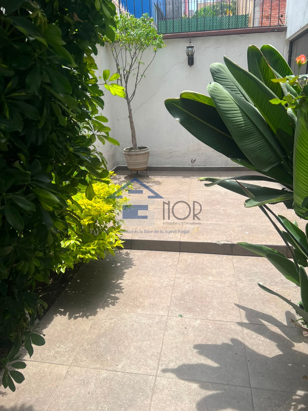 Casa en venta en Presidentes Ejidales 1ra Secc, Coyoacán, CDMX - foto 3