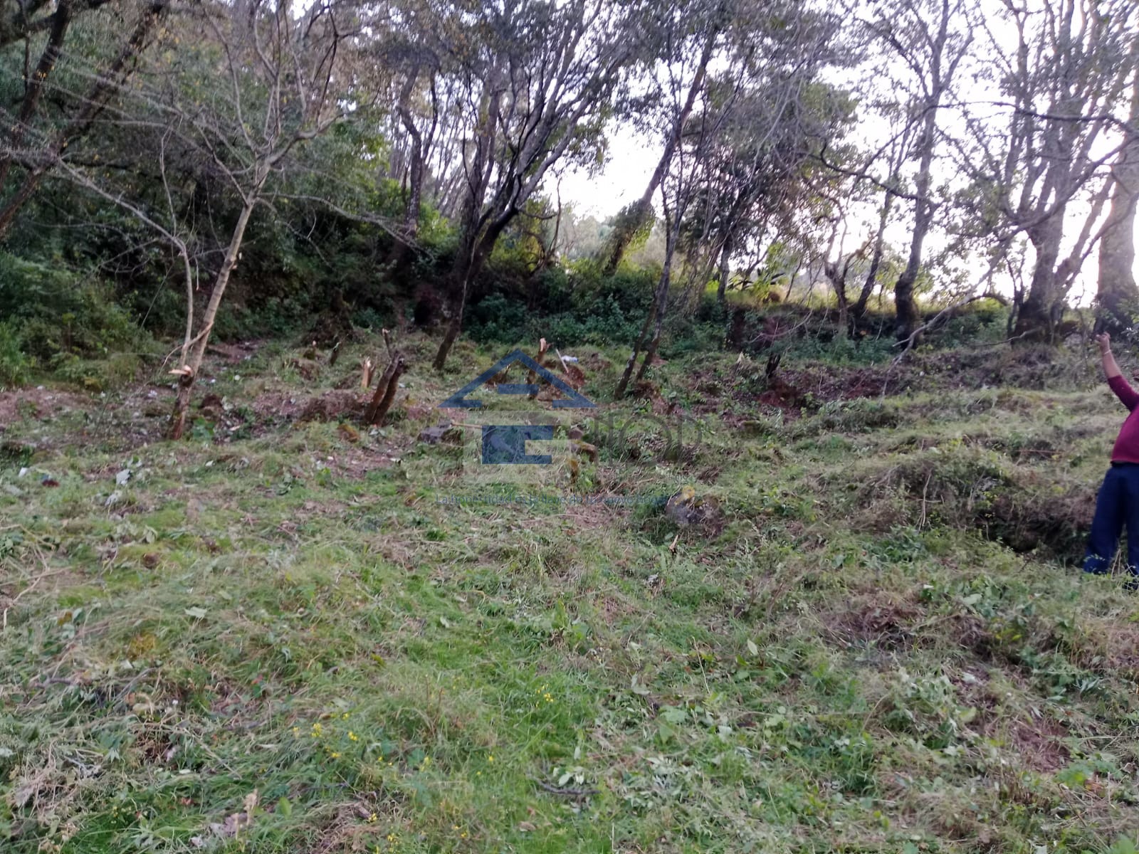 Terreno en venta en Santa María Zolotepec, Estado de México - foto 4