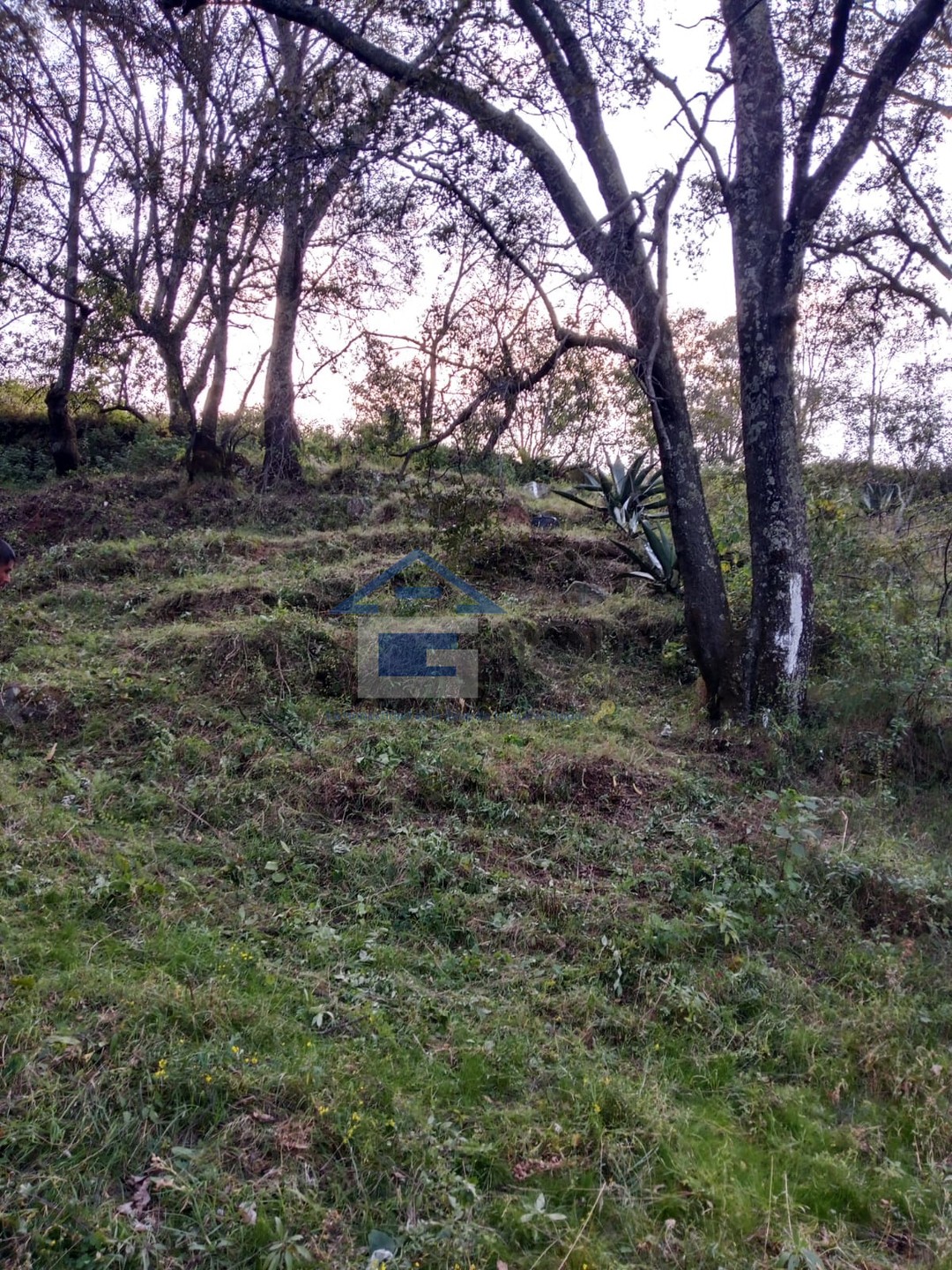 Terreno en venta en Santa María Zolotepec, Estado de México - foto 3