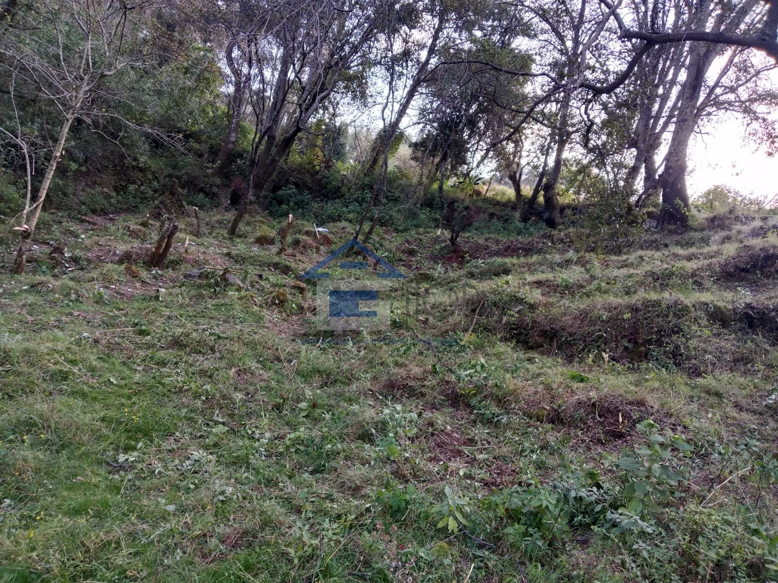 Terreno en venta en Santa María Zolotepec, Estado de México - foto 2